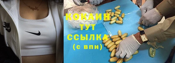 молекула духа Покачи