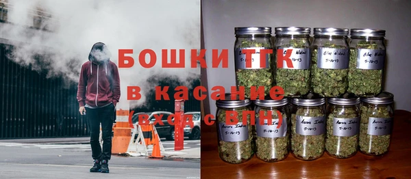 ПСИЛОЦИБИНОВЫЕ ГРИБЫ Алексин